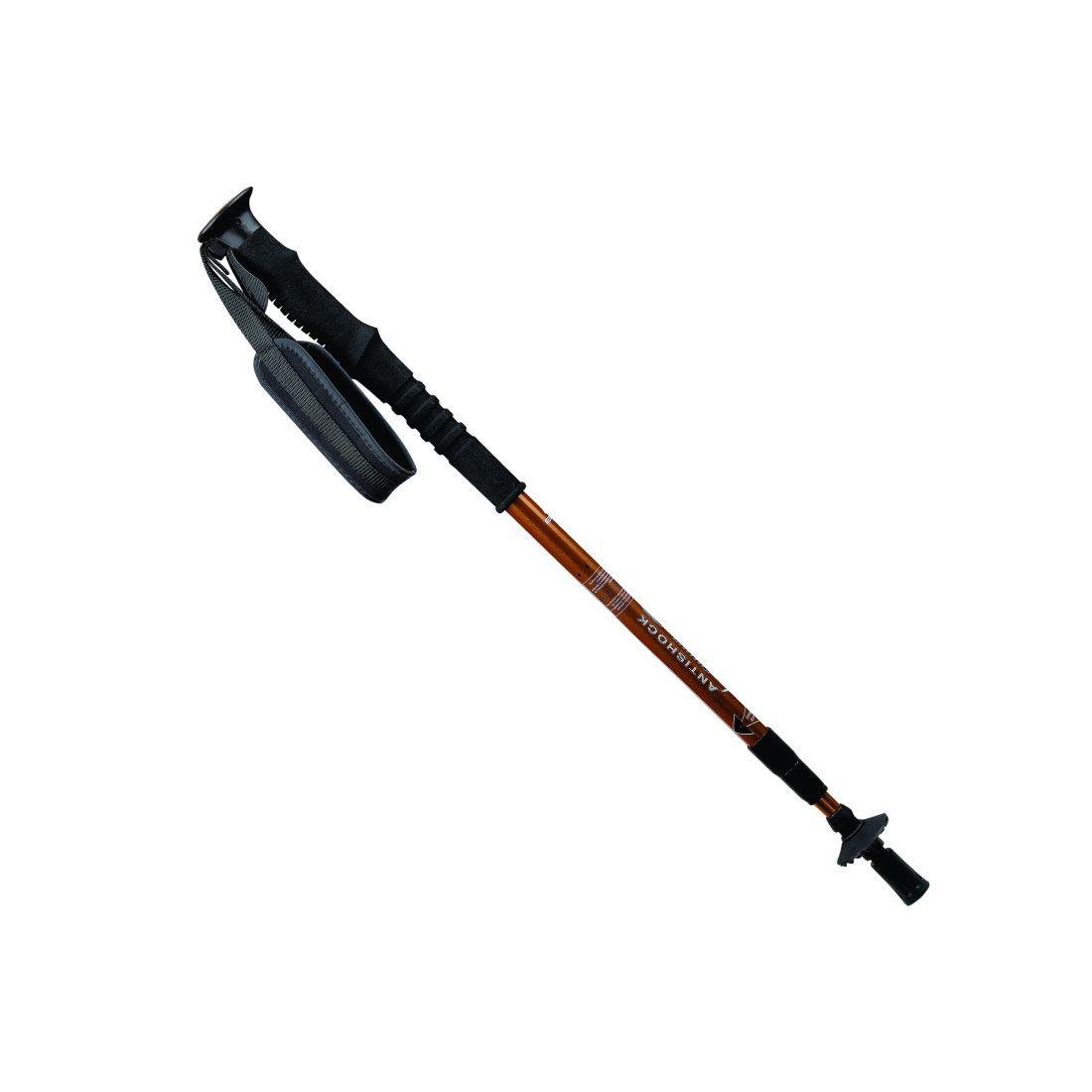EIGER MOUNTAINEERING TRACKING POLE 3 SECTION A